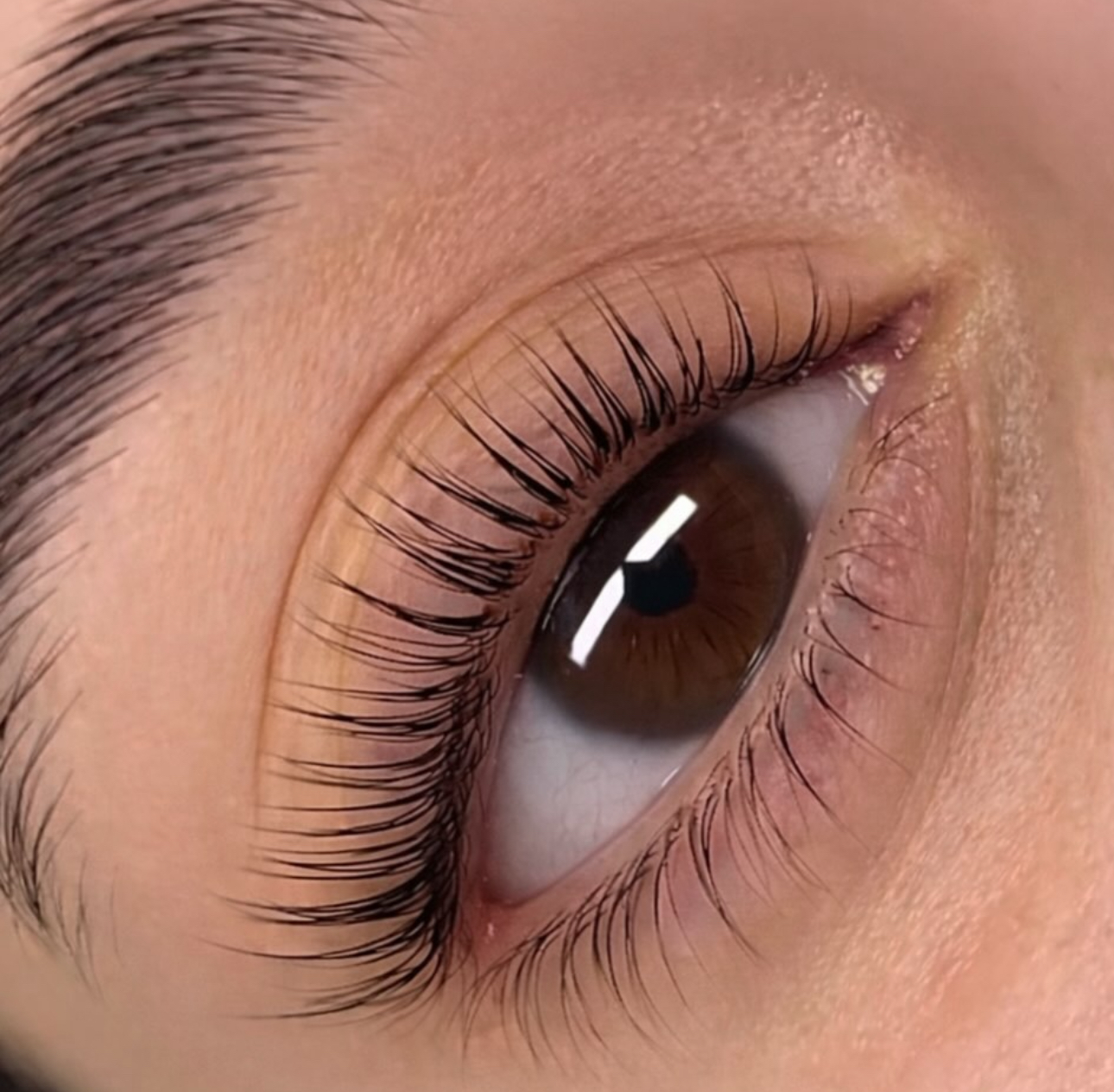 Rehaussement de cils / lash lift coréen
