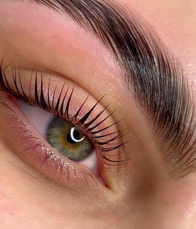 Formation rehaussement de cils - Kayliss Academy